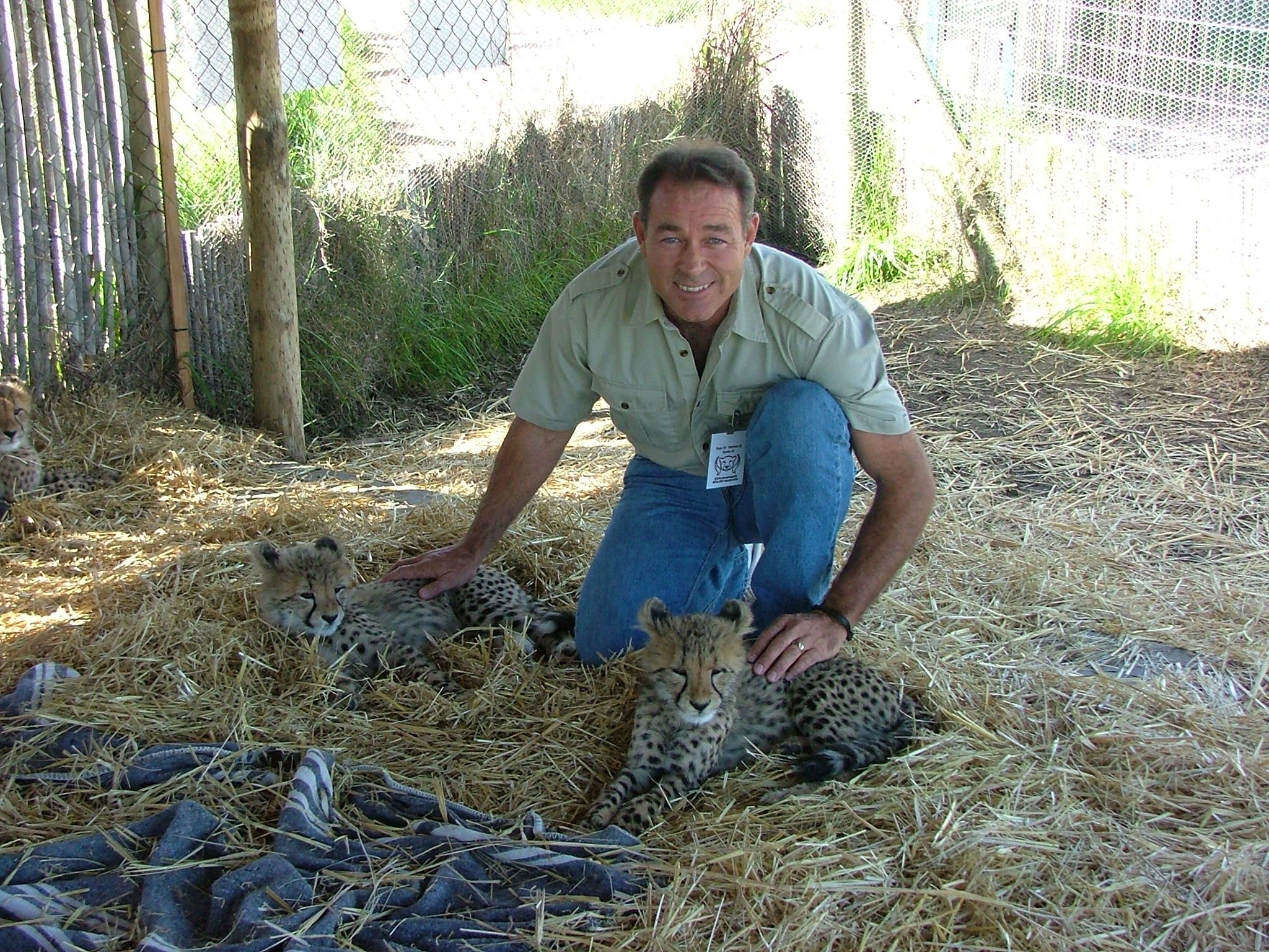 Mark Quinn with Cheetah Cubs