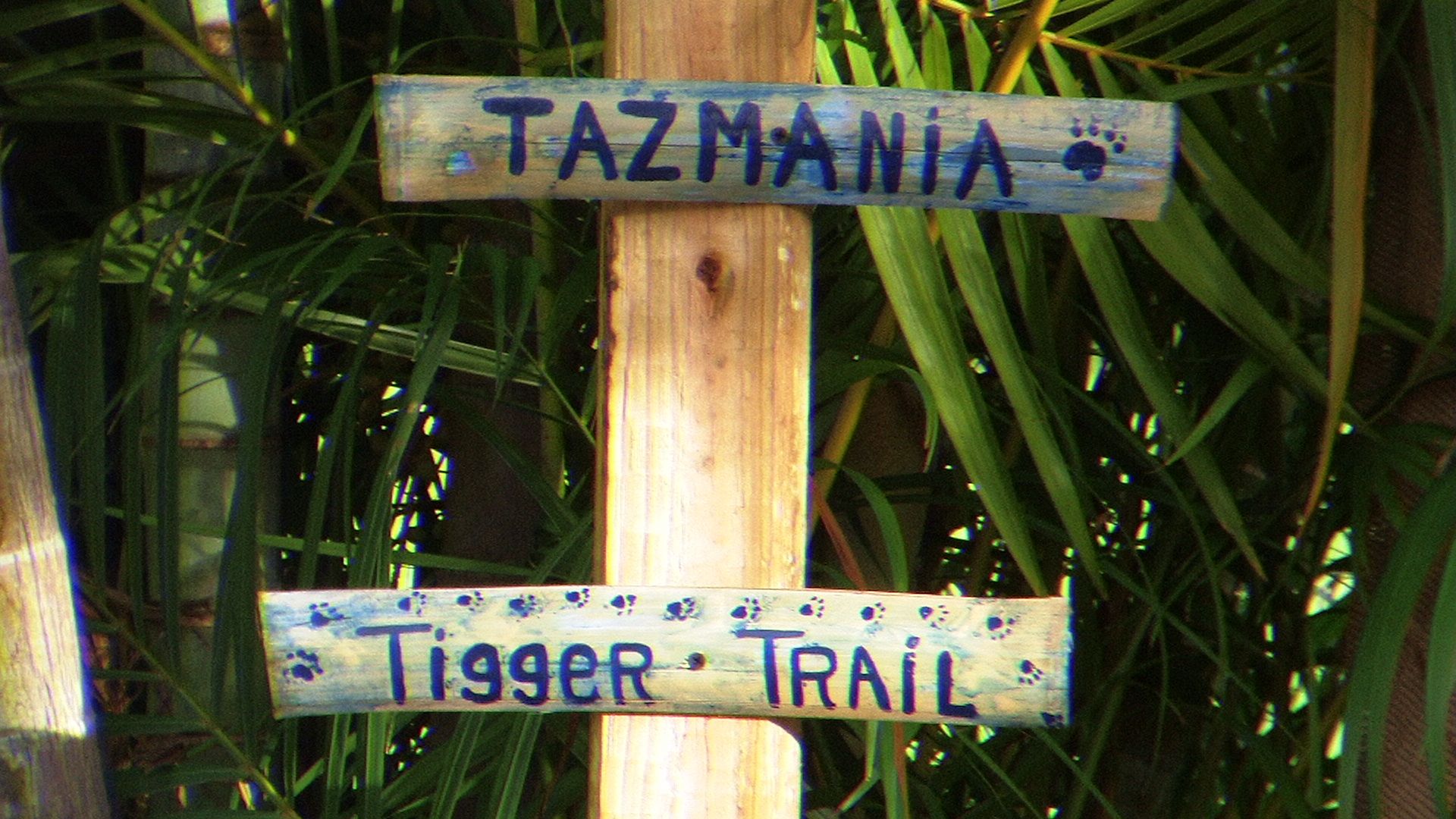 Tazmania Sign