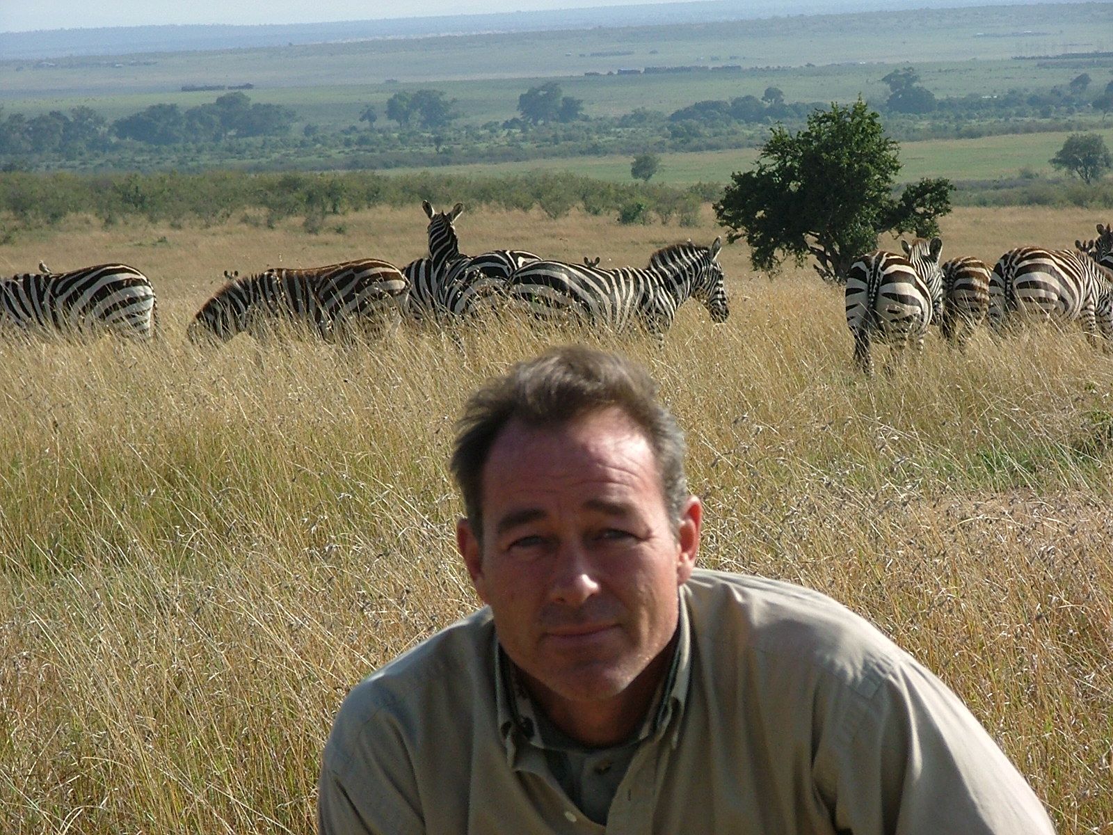 Mark Quinn and Zebras