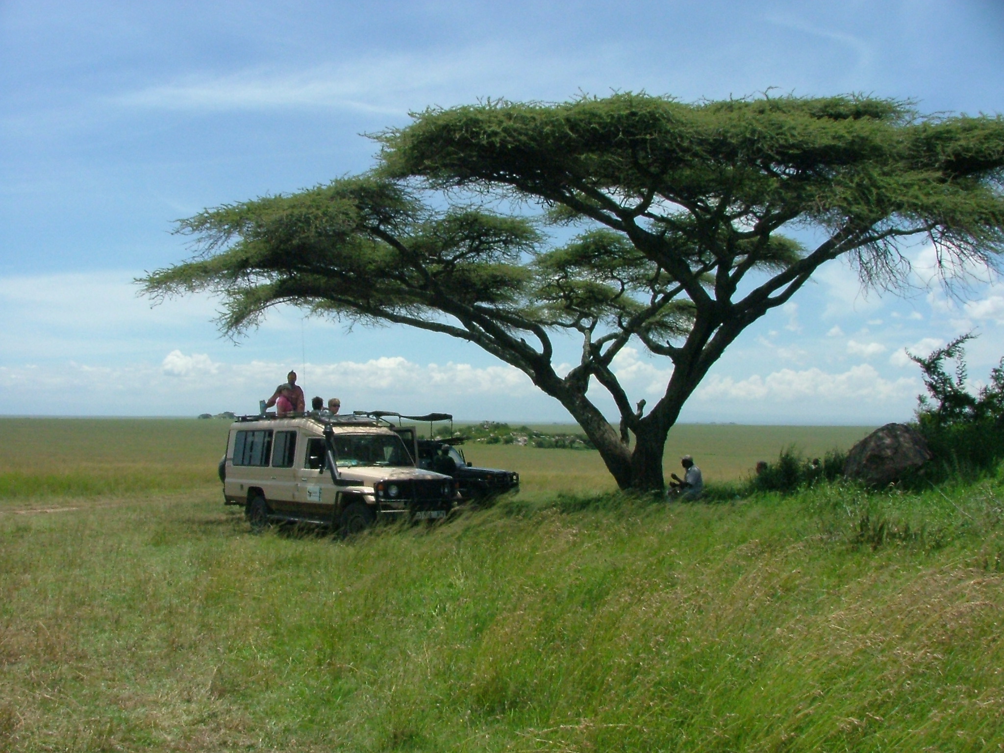 Tanzania Safari