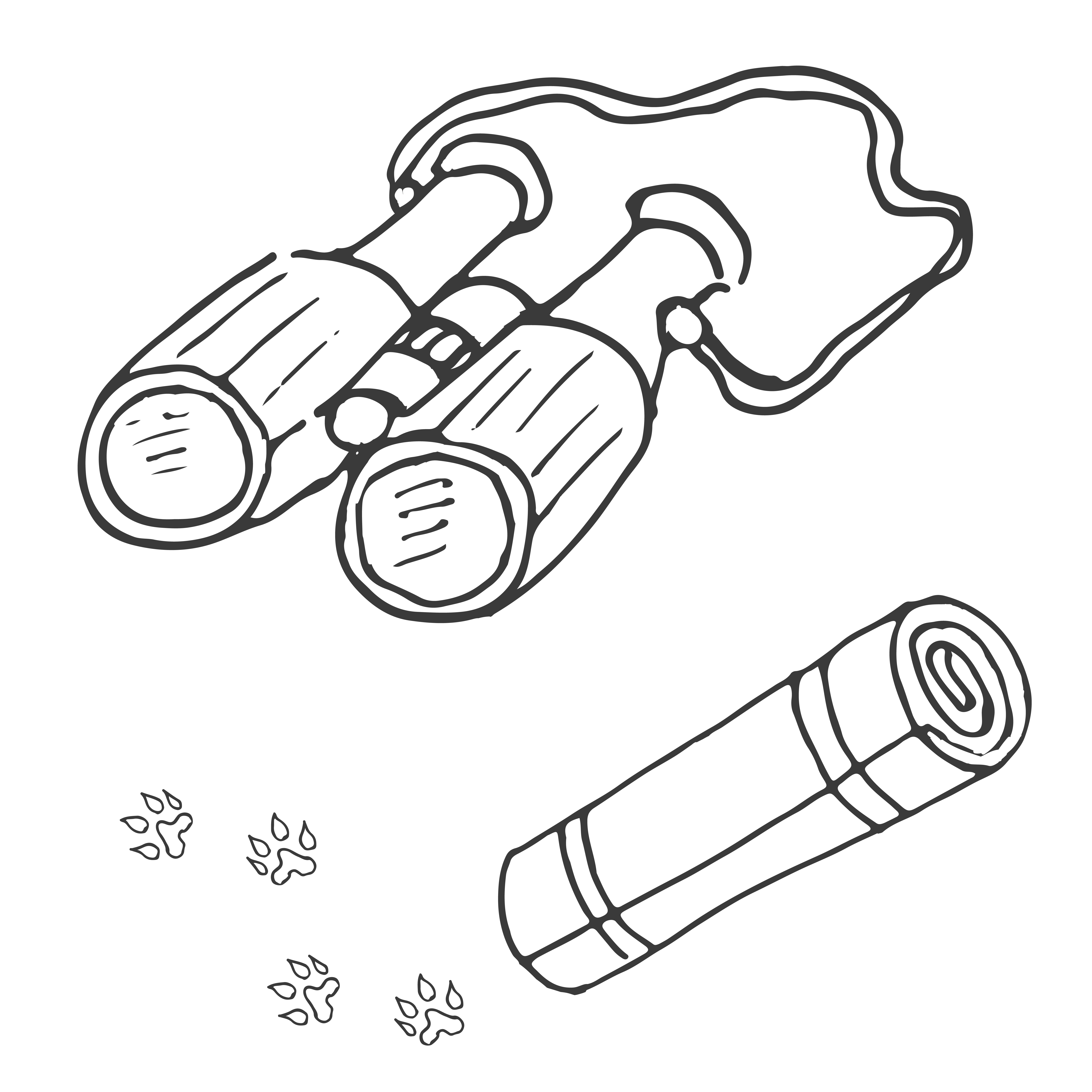 Binoculars, sleeping bag, paw prints